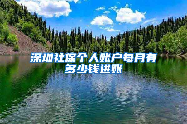 深圳社保个人账户每月有多少钱进账
