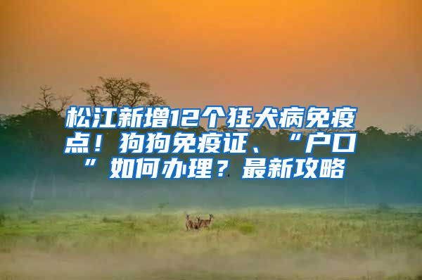 松江新增12个狂犬病免疫点！狗狗免疫证、“户口”如何办理？最新攻略→