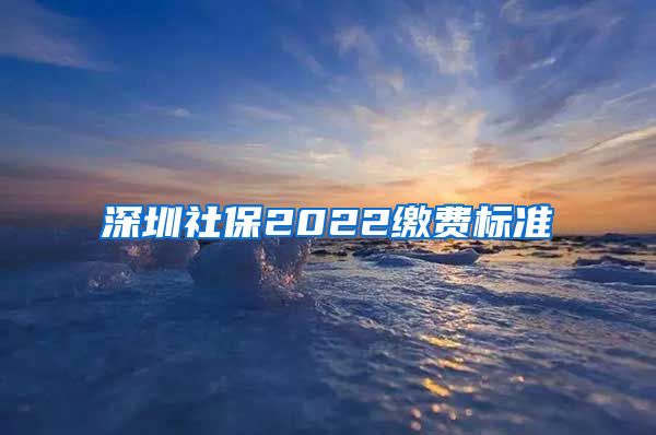 深圳社保2022缴费标准