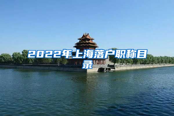 2022年上海落户职称目录