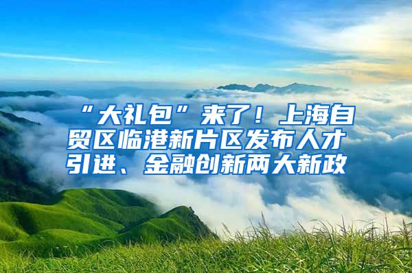 “大礼包”来了！上海自贸区临港新片区发布人才引进、金融创新两大新政
