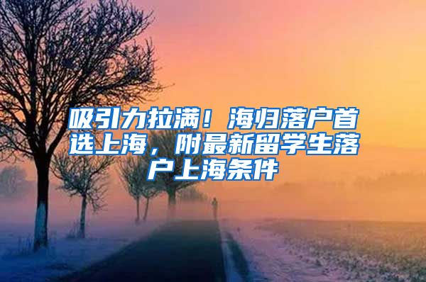 吸引力拉满！海归落户首选上海，附最新留学生落户上海条件