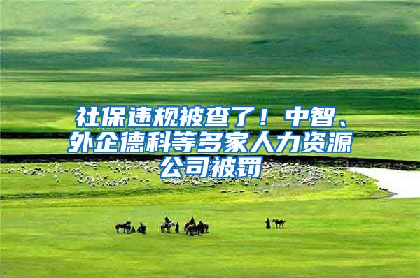 社保违规被查了！中智、外企德科等多家人力资源公司被罚