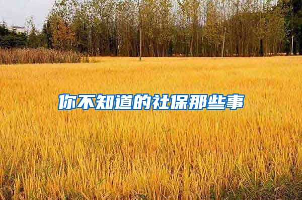 你不知道的社保那些事