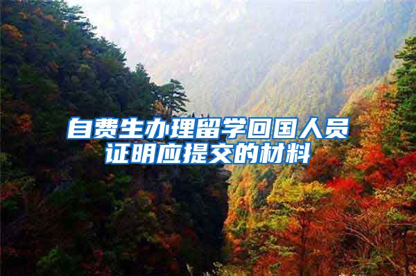 自费生办理留学回国人员证明应提交的材料