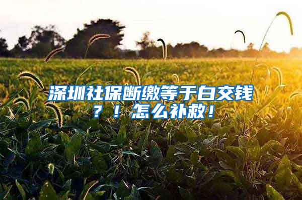 深圳社保断缴等于白交钱？！怎么补救！
