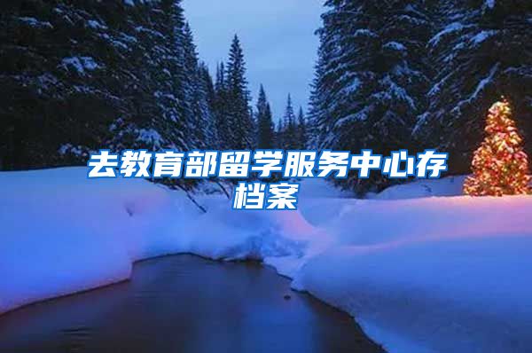 去教育部留学服务中心存档案
