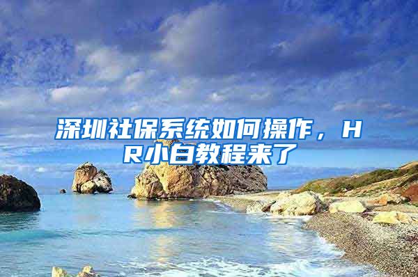 深圳社保系统如何操作，HR小白教程来了