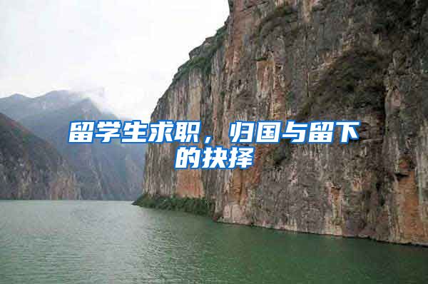 留学生求职，归国与留下的抉择