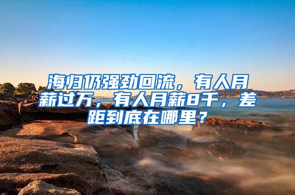 海归仍强劲回流，有人月薪过万，有人月薪8千，差距到底在哪里？