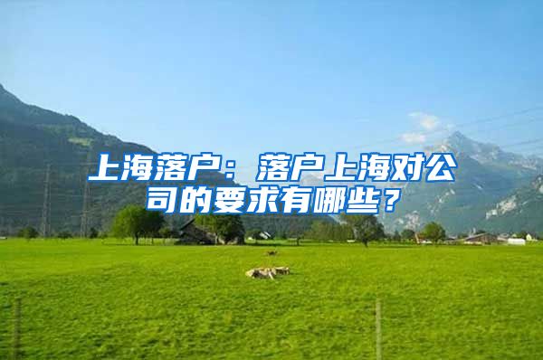 上海落户：落户上海对公司的要求有哪些？