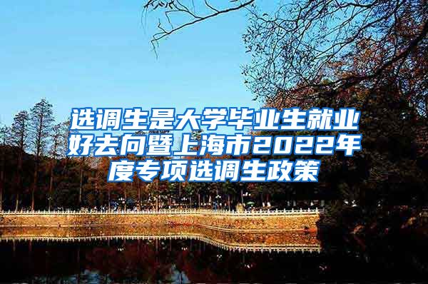 选调生是大学毕业生就业好去向暨上海市2022年度专项选调生政策