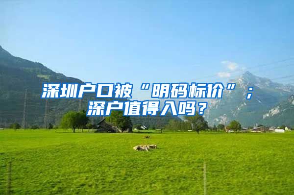 深圳户口被“明码标价”；深户值得入吗？