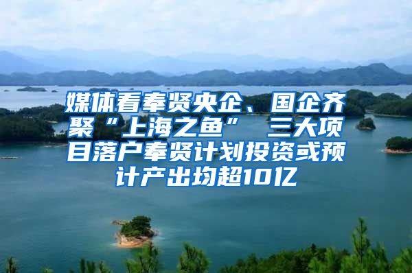媒体看奉贤央企、国企齐聚“上海之鱼” 三大项目落户奉贤计划投资或预计产出均超10亿