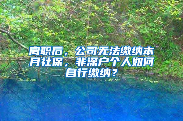 离职后，公司无法缴纳本月社保，非深户个人如何自行缴纳？