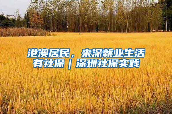 港澳居民，来深就业生活有社保｜深圳社保实践⑤