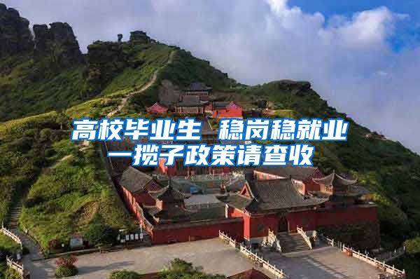 高校毕业生 稳岗稳就业一揽子政策请查收