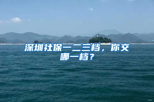 深圳社保一二三档，你交哪一档？