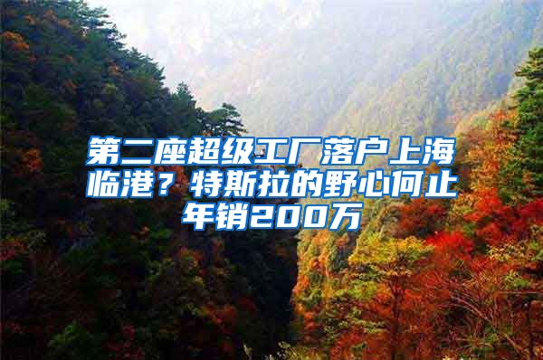 第二座超级工厂落户上海临港？特斯拉的野心何止年销200万