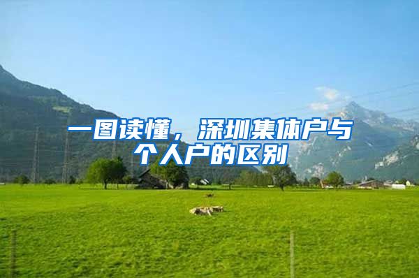 一图读懂，深圳集体户与个人户的区别