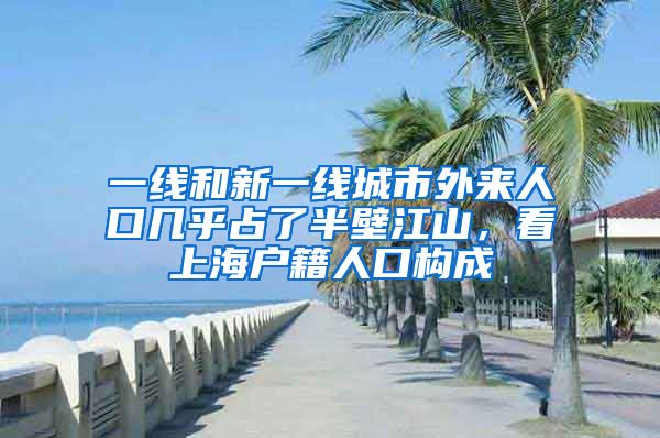 一线和新一线城市外来人口几乎占了半壁江山，看上海户籍人口构成