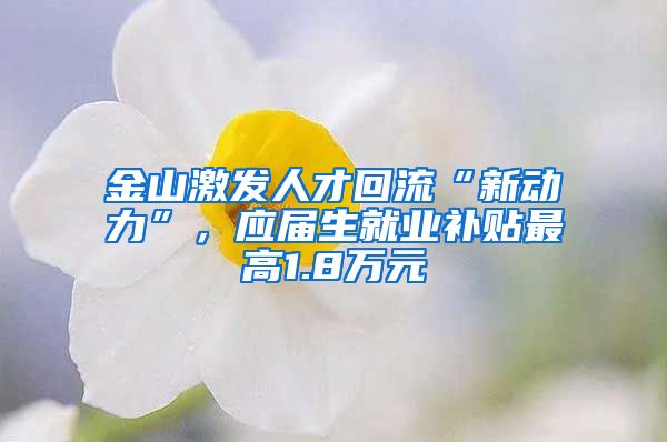 金山激发人才回流“新动力”，应届生就业补贴最高1.8万元