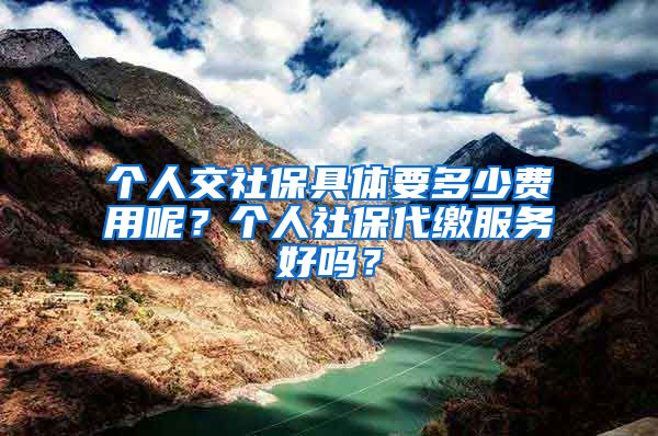 个人交社保具体要多少费用呢？个人社保代缴服务好吗？