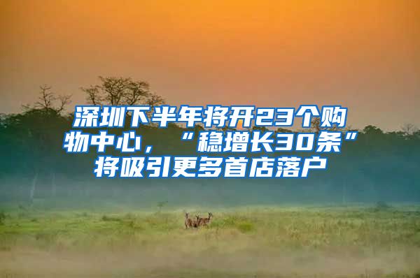 深圳下半年将开23个购物中心，“稳增长30条”将吸引更多首店落户