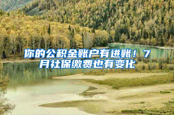 你的公积金账户有进账！7月社保缴费也有变化
