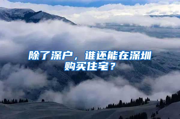除了深户，谁还能在深圳购买住宅？