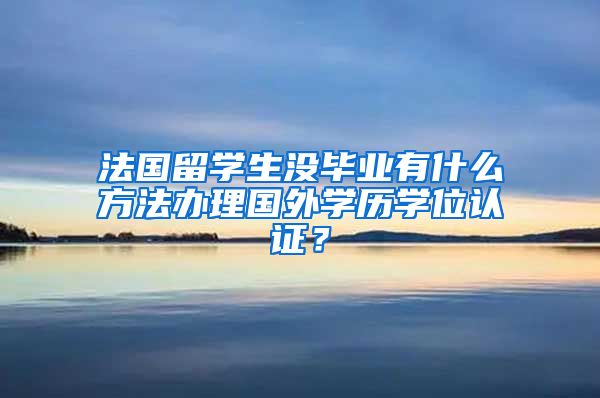 法国留学生没毕业有什么方法办理国外学历学位认证？
