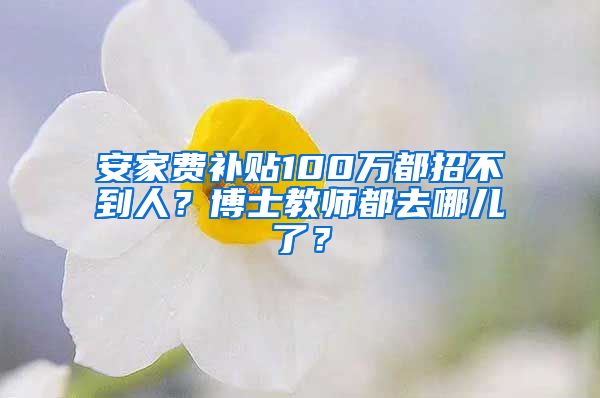 安家费补贴100万都招不到人？博士教师都去哪儿了？