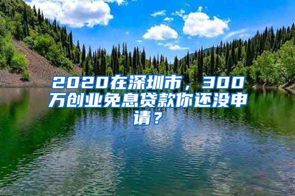 2020在深圳市，300万创业免息贷款你还没申请？