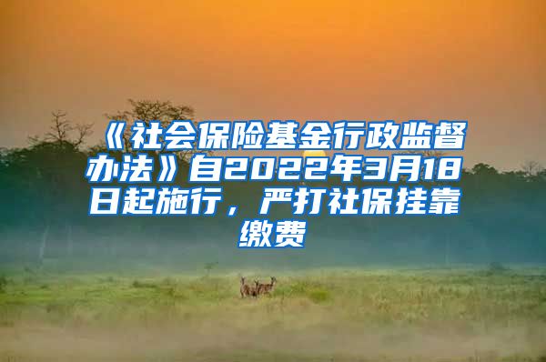 《社会保险基金行政监督办法》自2022年3月18日起施行，严打社保挂靠缴费