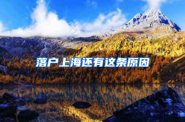 落户上海还有这条原因