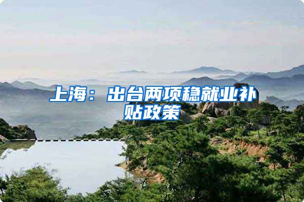 上海：出台两项稳就业补贴政策