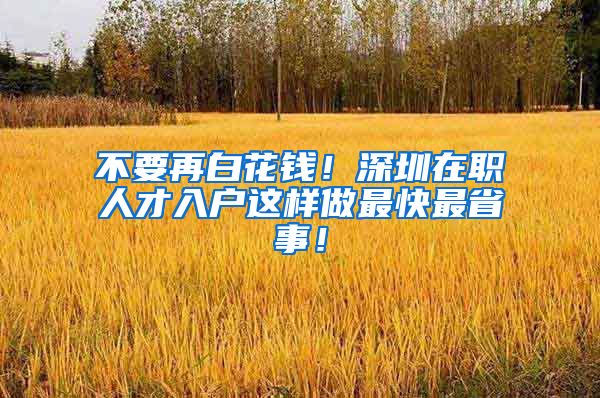 不要再白花钱！深圳在职人才入户这样做最快最省事！