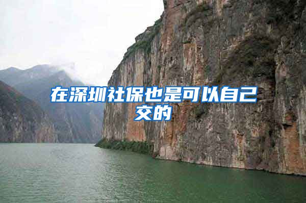 在深圳社保也是可以自己交的