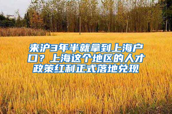 来沪3年半就拿到上海户口？上海这个地区的人才政策红利正式落地兑现