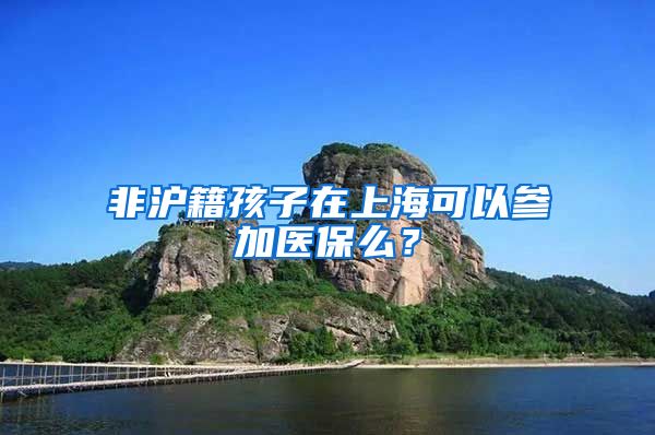 非沪籍孩子在上海可以参加医保么？