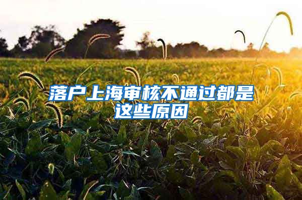 落户上海审核不通过都是这些原因