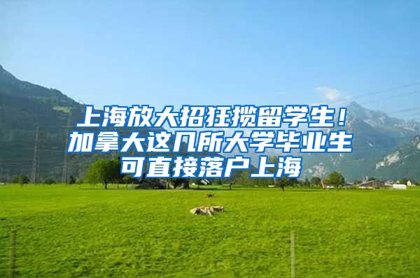 上海放大招狂揽留学生！加拿大这几所大学毕业生可直接落户上海