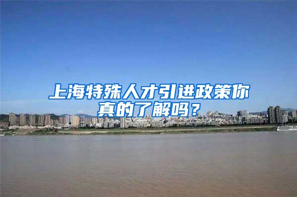 上海特殊人才引进政策你真的了解吗？