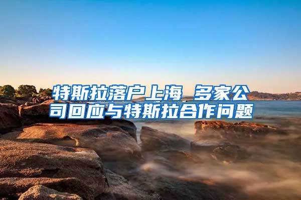 特斯拉落户上海 多家公司回应与特斯拉合作问题