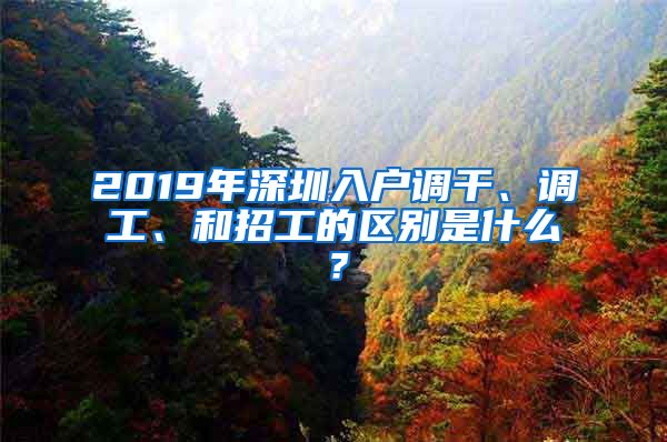 2019年深圳入户调干、调工、和招工的区别是什么？
