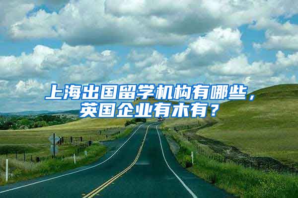 上海出国留学机构有哪些，英国企业有木有？