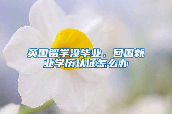 英国留学没毕业，回国就业学历认证怎么办