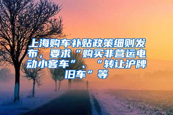 上海购车补贴政策细则发布，要求“购买非营运电动小客车”、“转让沪牌旧车”等