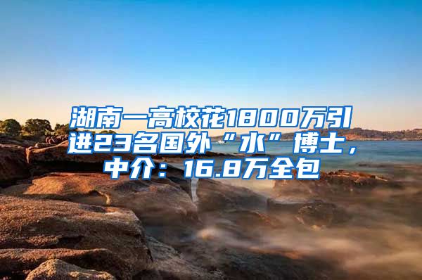 湖南一高校花1800万引进23名国外“水”博士，中介：16.8万全包