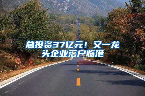 总投资37亿元！又一龙头企业落户临港